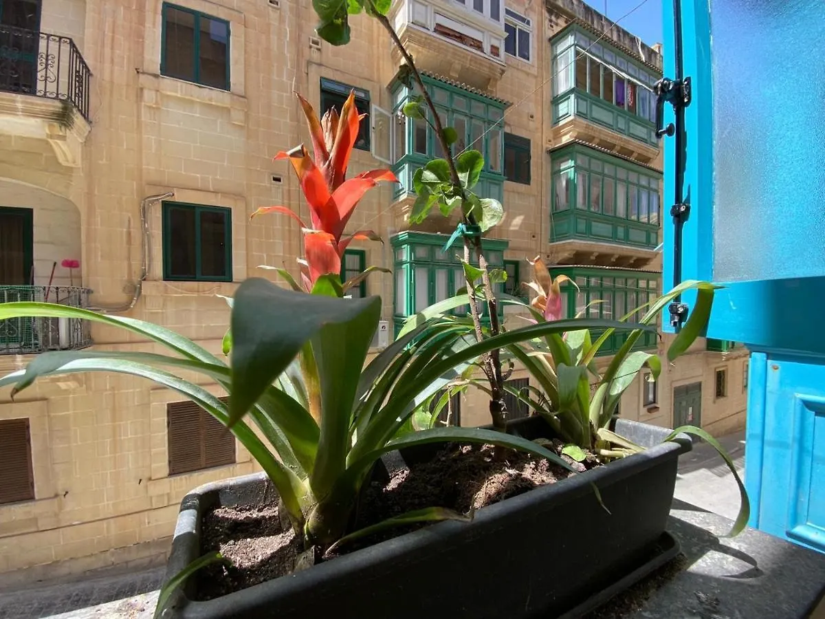 Apartmán Maltese Town House Valletta